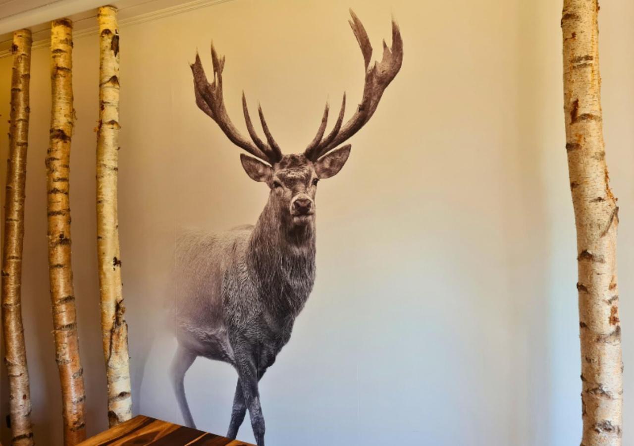 Hotel Harzresidenz Thale Zewnętrze zdjęcie